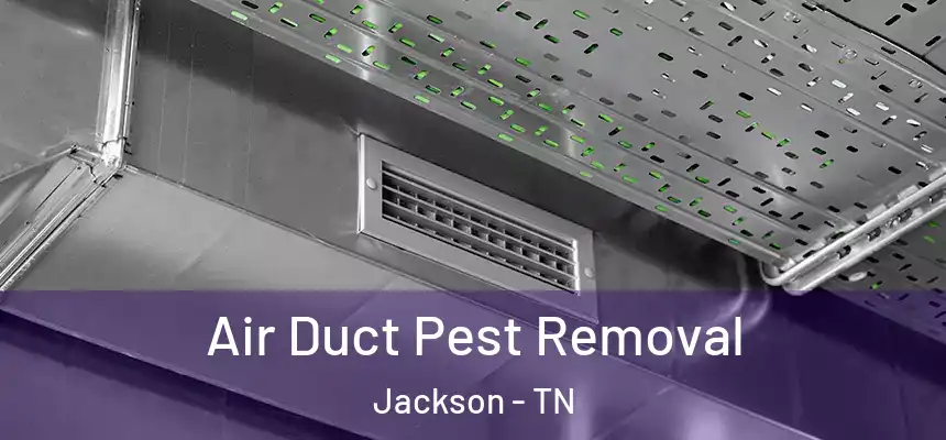 Air Duct Pest Removal Jackson - TN