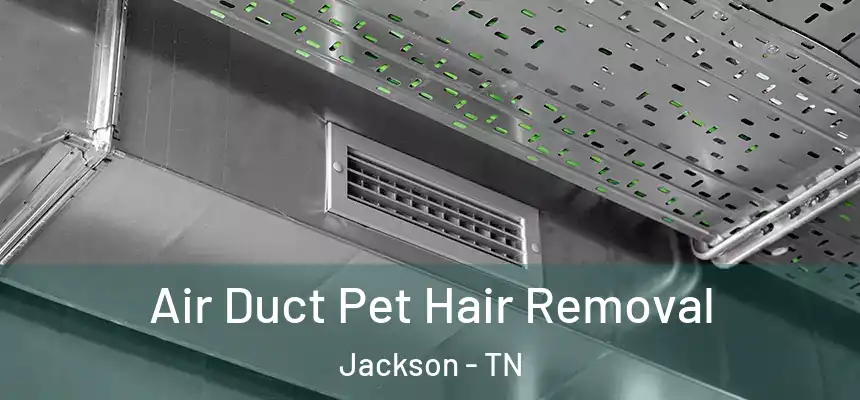 Air Duct Pet Hair Removal Jackson - TN