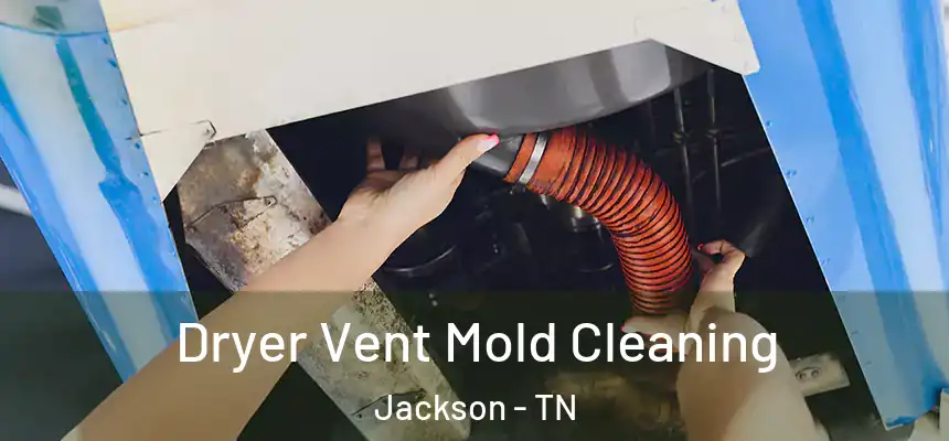  Dryer Vent Mold Cleaning Jackson - TN