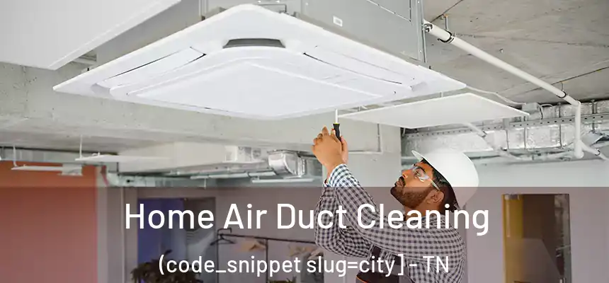  Home Air Duct Cleaning (code_snippet slug=city] - TN