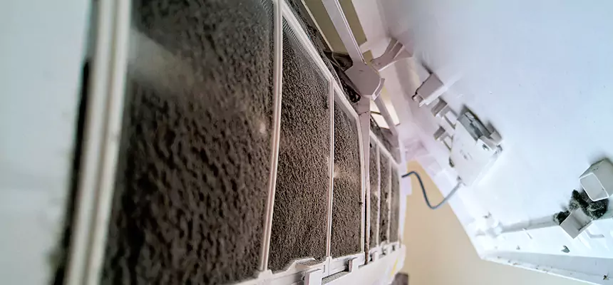 Preventive Air Duct Bacteria Removal in Jackson