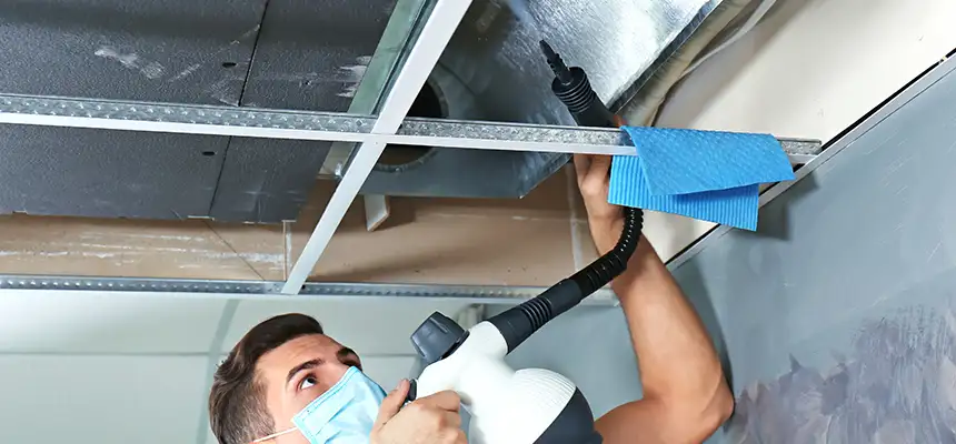 Our Air Duct Rodent Removal Services in Jackson, TN