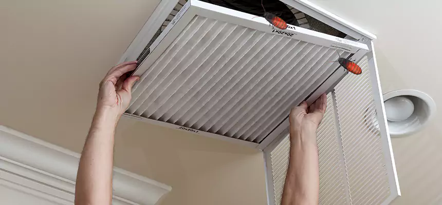 Our Insect Removal from Air Ducts Services in Jackson, TN