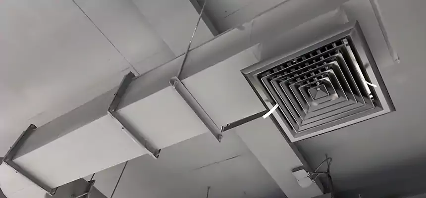 Our Pest Removal From Ducts Services in Jackson, TN