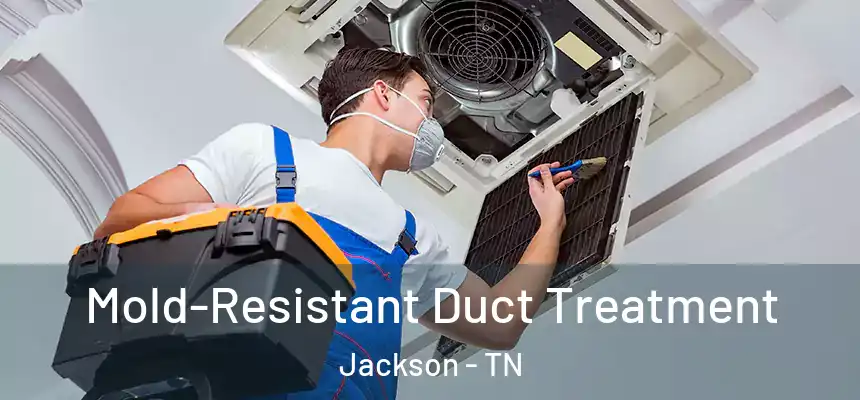 Mold-Resistant Duct Treatment Jackson - TN