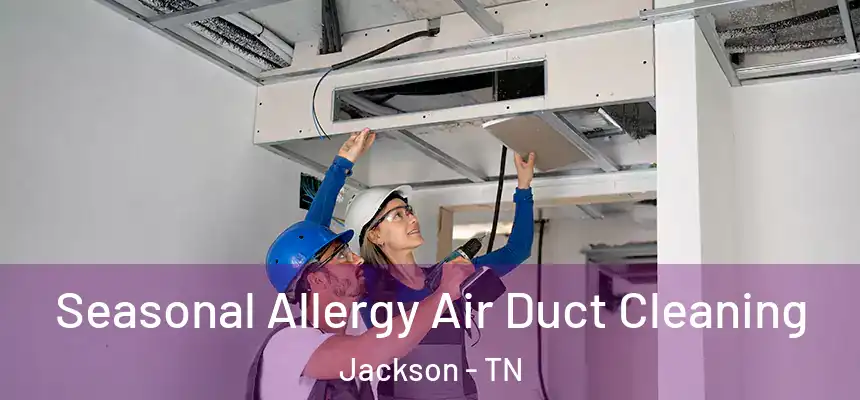 Seasonal Allergy Air Duct Cleaning Jackson - TN