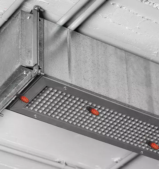 About Air Duct Cockroach Removal in Jackson, TN