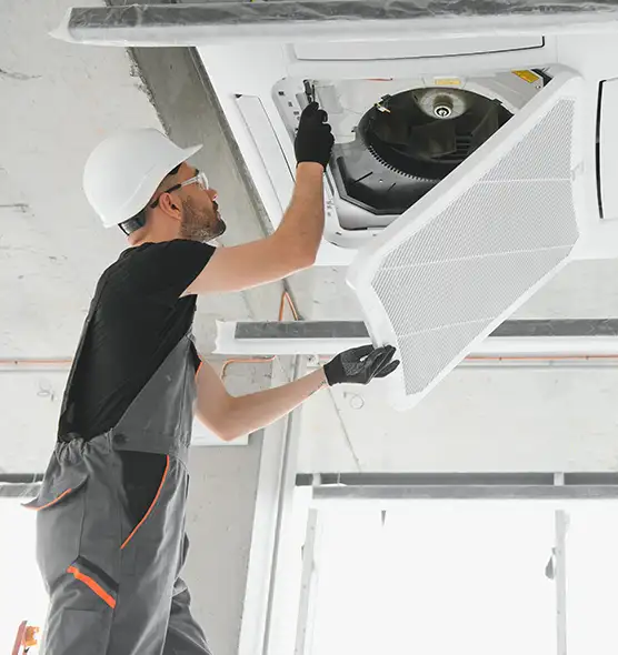 About Air Duct Rodent Removal in Jackson, TN