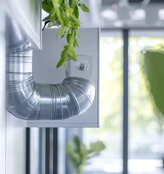 Professional Eco-Friendly Duct Cleaning Services in Jackson, TN