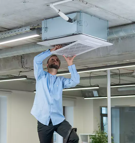 Advanced Rodent Droppings In Vents in Jackson, TN