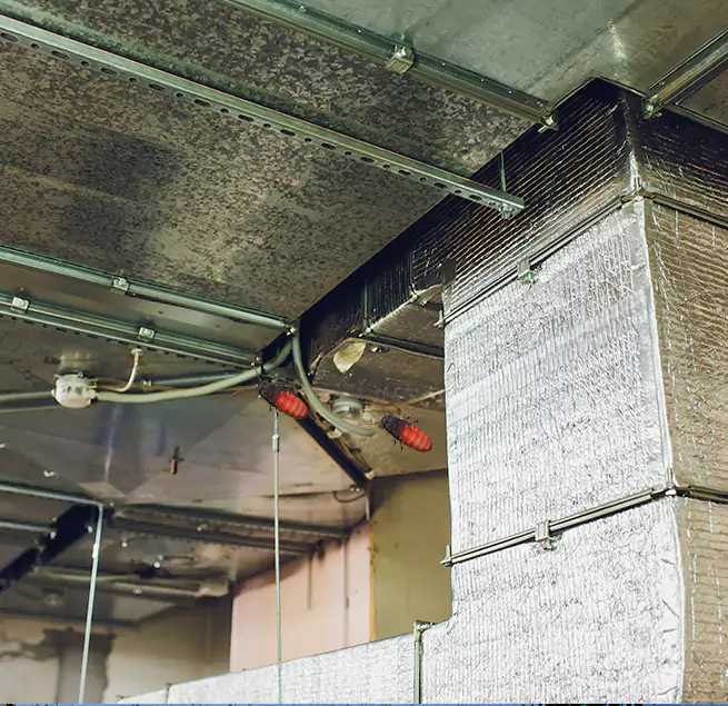 Why Homeowners & Businesses Trust Us in Jackson, TN?