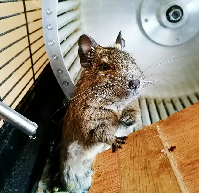 Why Homeowners & Businesses Trust Us Jackson, TN?