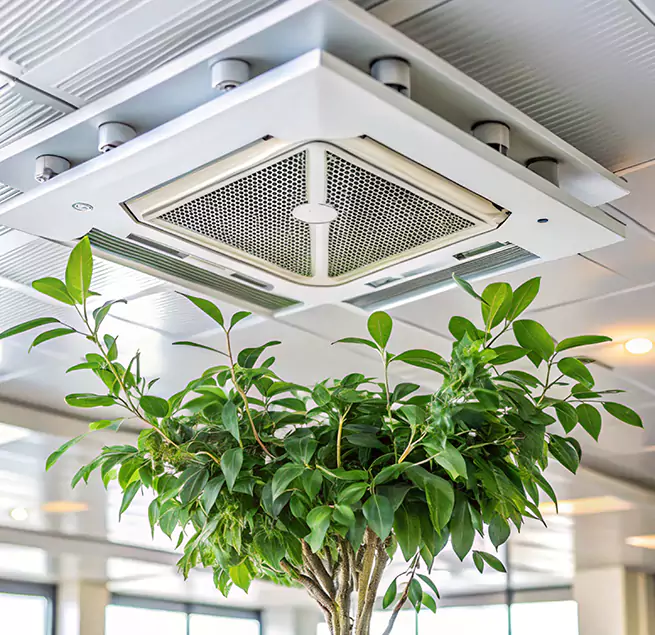 Why Homeowners & Businesses Trust Us in Jackson, TN?